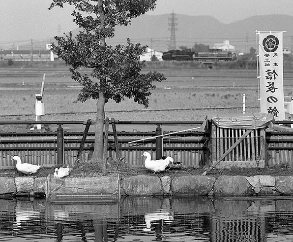 安土にて