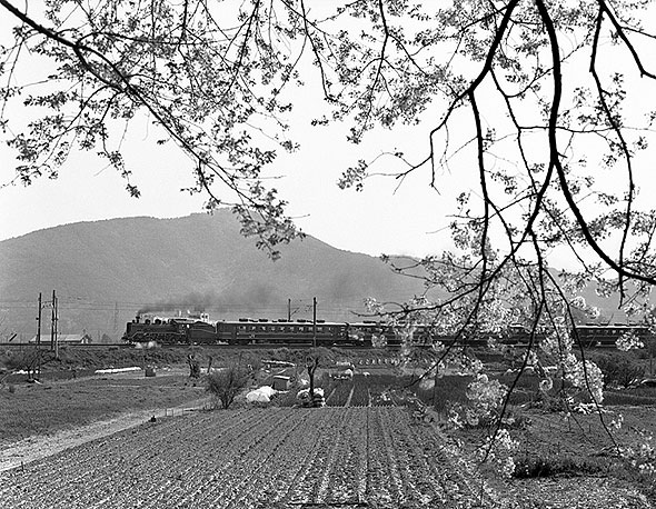 高時川築堤