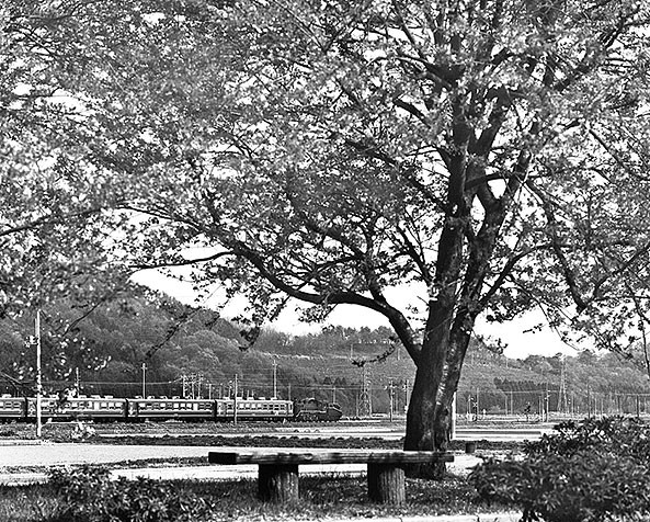 農村公園