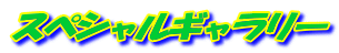 スペシャルギャラリー 