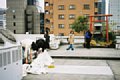 html/fl020020.htm