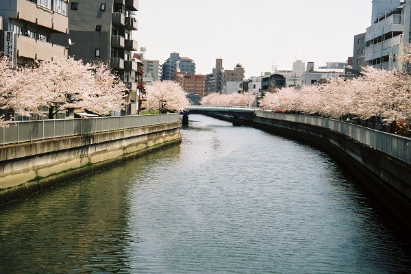 01 仙台掘川深川