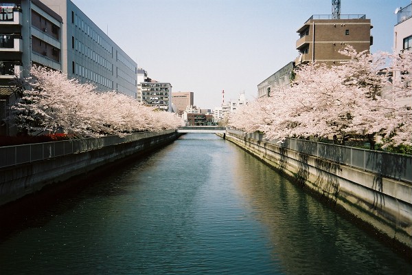 02 仙台堀川清澄