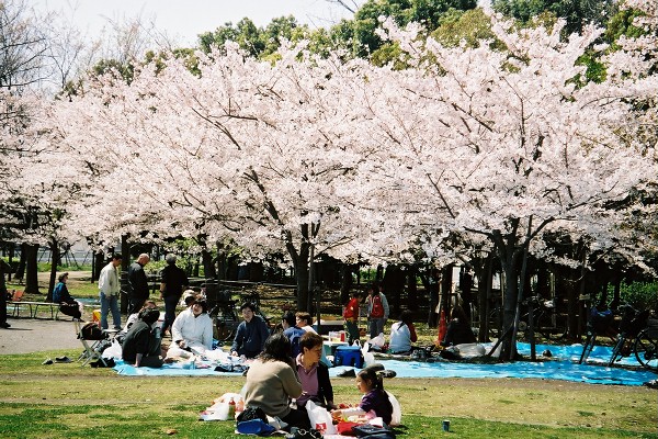 05 清澄公園