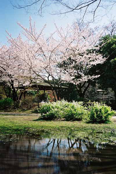 06 清澄公園