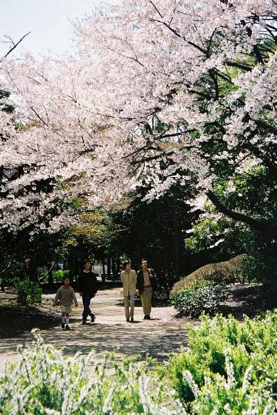 07 清澄公園
