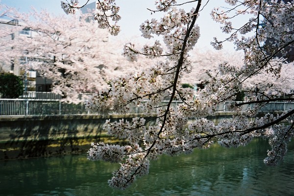 10 大横川扇橋