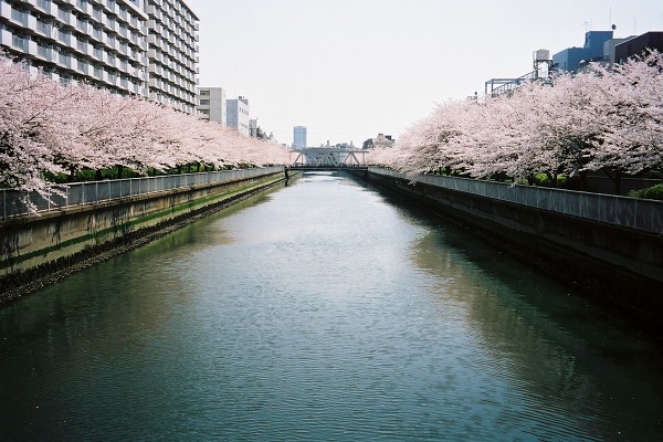 12 大横川三石橋より
