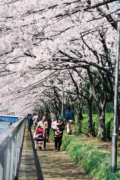 13 大横川千石