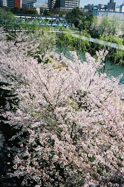 14 木場公園