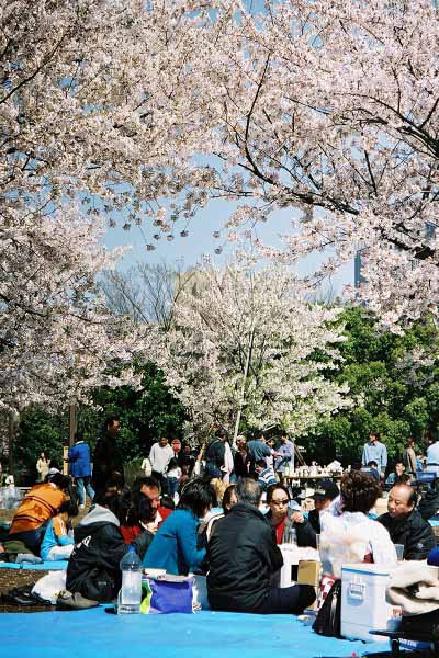 16 木場公園広場