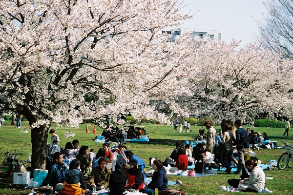 17 木場公園広場
