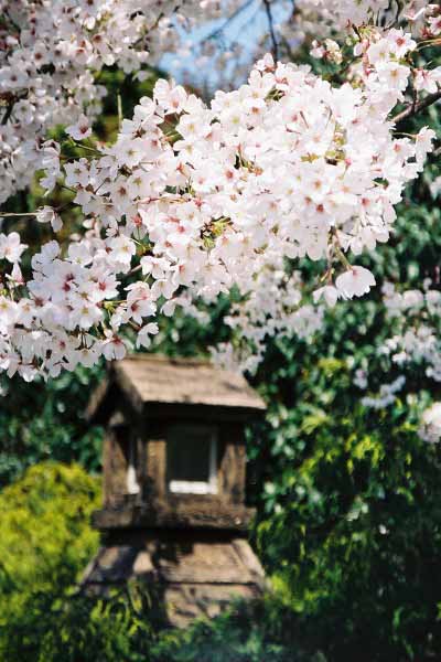 18 木場公園入口