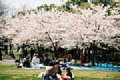 05 清澄公園
