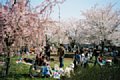 15 木場公園広場