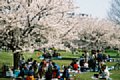 17 木場公園広場