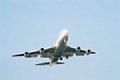 25 jal boeing 747