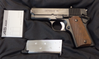 デトニクス.45